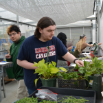 Students work in KCC's greenhouse