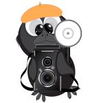 Cute animal with camera